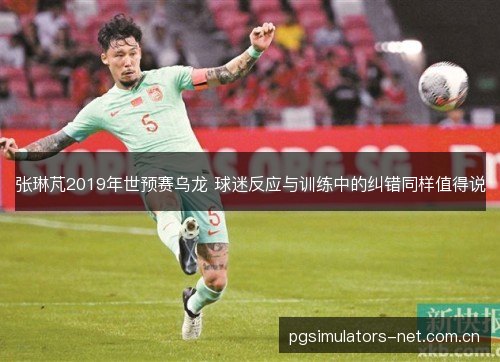 张琳芃2019年世预赛乌龙 球迷反应与训练中的纠错同样值得说